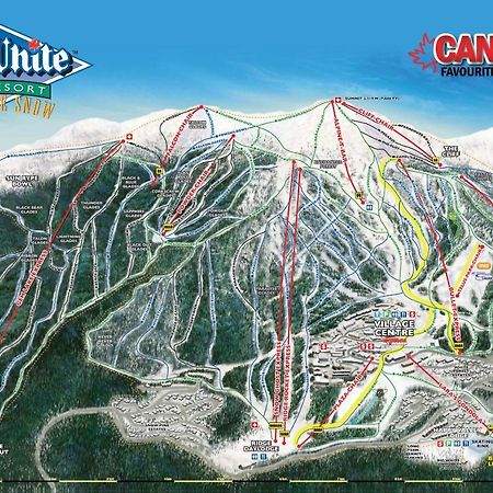 Stonebridge Lodge Big White エクステリア 写真
