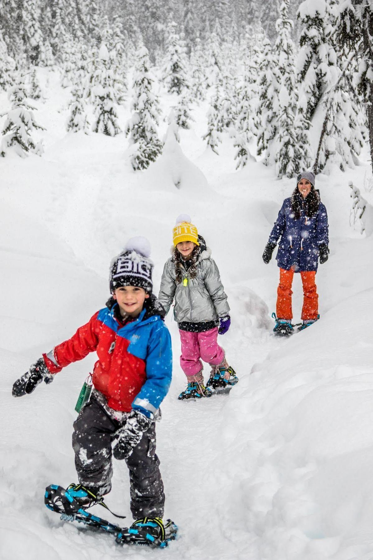 Stonebridge Lodge Big White エクステリア 写真