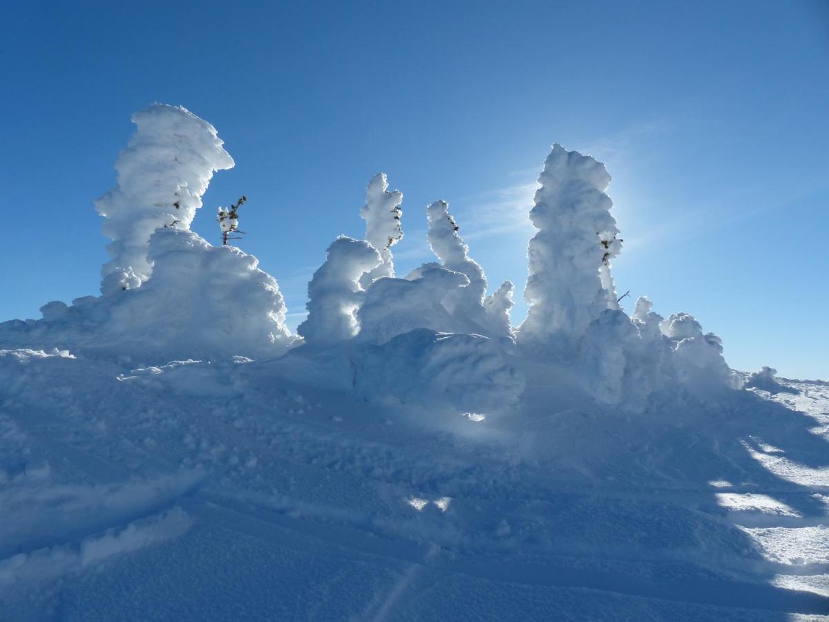 Stonebridge Lodge Big White エクステリア 写真